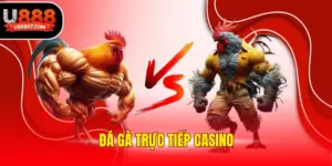 Đá gà trực tiếp casino