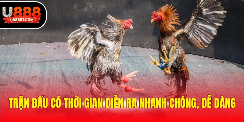 Trận đấu có thời gian diễn ra nhanh chóng, dễ dàng